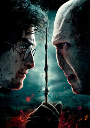 Harry Potter VS Voldemort